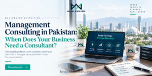 Management Consulting in Pakistan: When Does Your Business Need a Consultant?